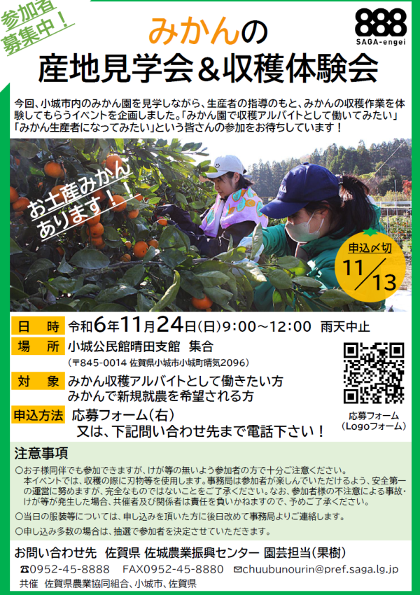 【令和6年11月24日】みかんの産地見学会＆収穫体験会 を開催します🍊