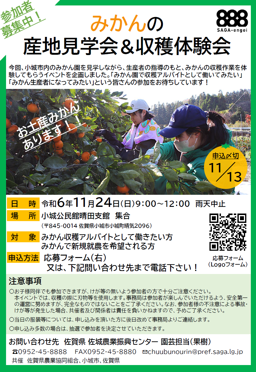 【令和6年11月24日】みかんの産地見学会＆収穫体験会 を開催します🍊